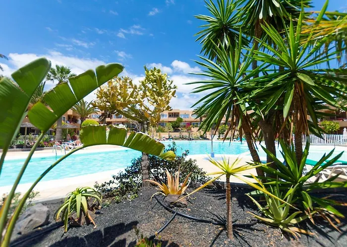 Alicebungalowpoolview-summer Corralejo