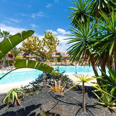 Alicebungalowpoolview-summer Corralejo